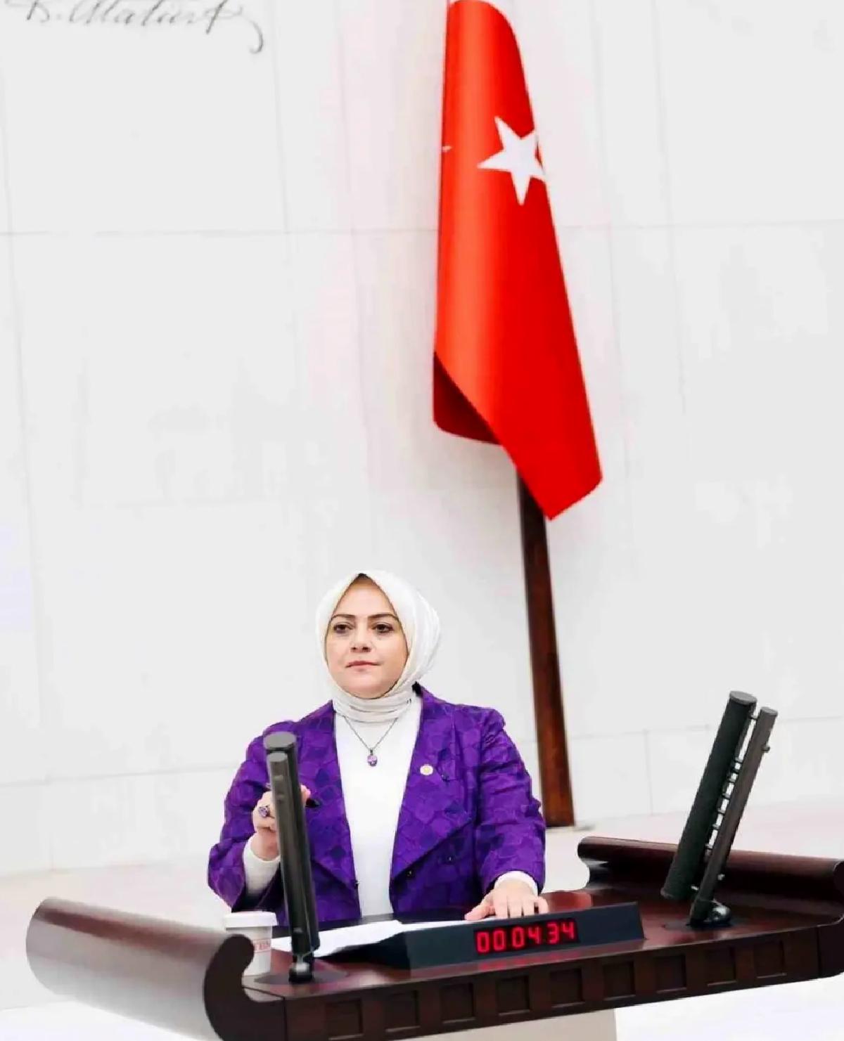 Gelecek Partisi Milletvekili Sema Silkin Ün’den 19 Mayıs Bildirisi