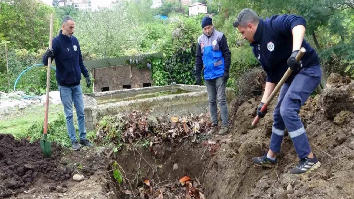 Giresun’da Balık Atıkları Etraf Dostu Projede Bedellendiriliyor