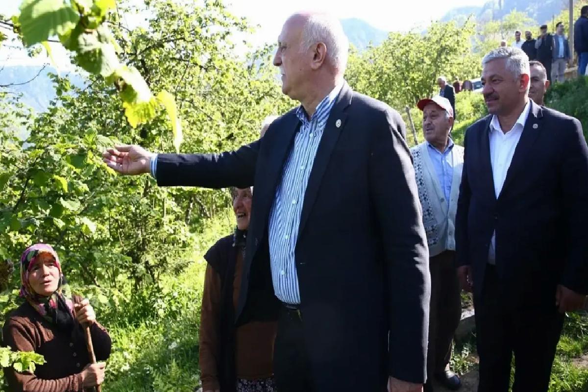 Giresun’da Fındık Bahçelerine Zirai Don Ziyan Verdi