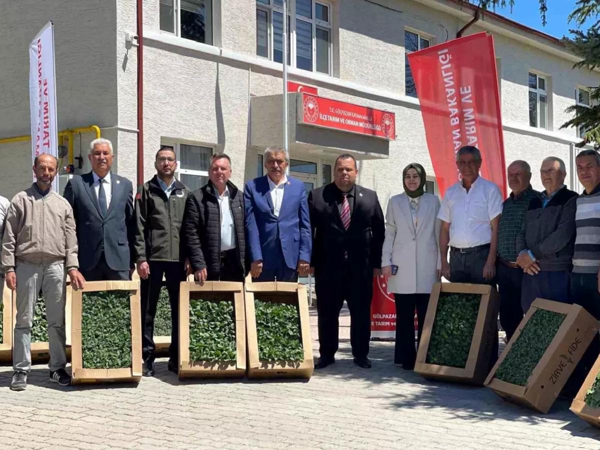 Gölpazarı’nda Fide Dağıtımıyla Tarıma Takviye