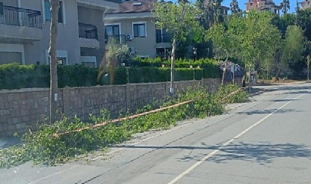 Güzelbahçe Belediyesi’nden Yaz Paklığı