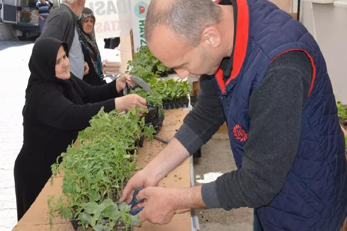 Havza’da Zerzevat Fidesi Satışları Başladı