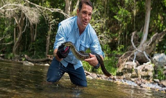 ‘Hayatta Kalma Ustaları’, Mayıs Ayı Boyunca Her Pazar İki Kısım Arka Arda 20.00’de National Geographic WILD Ekranlarında!