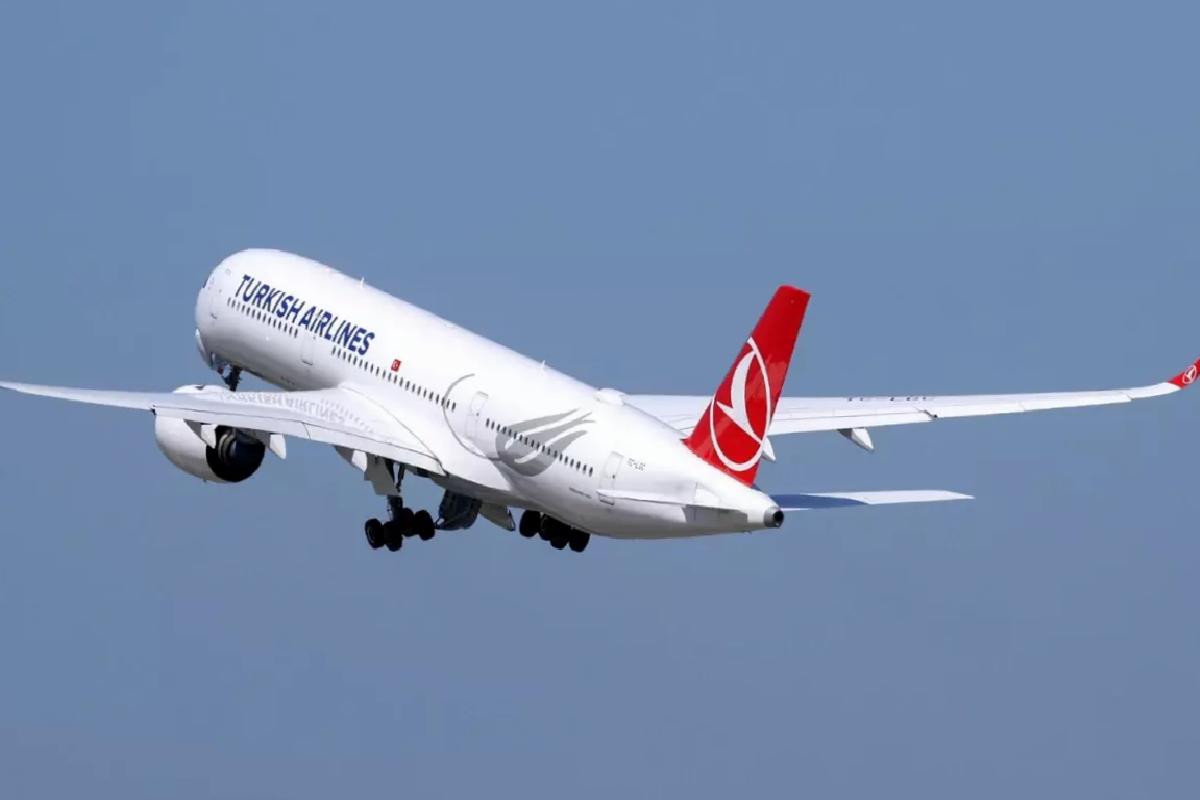 Hindistan’ın taarruzları nedeniyle THY ve Pegasus uçakları geri döndü