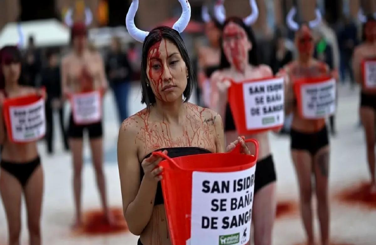 İspanya’da Boğa Güreşleri Protesto Edildi