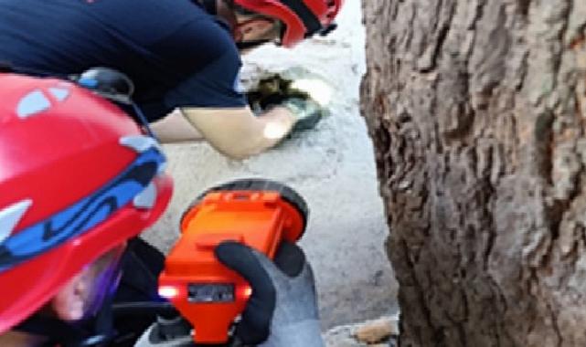 İzmir İtfaiyesi havalandırma bacasına sıkışan kediyi kurtardı