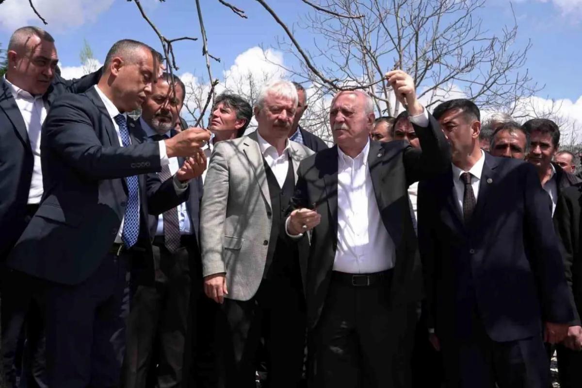 Kahramanmaraş’ta Zirai Don İncelemesi