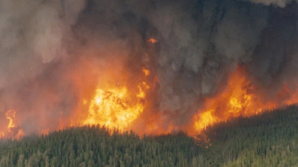 Kanada’da orman yangını: Manitoba eyaletinde OHAL ilan edildi