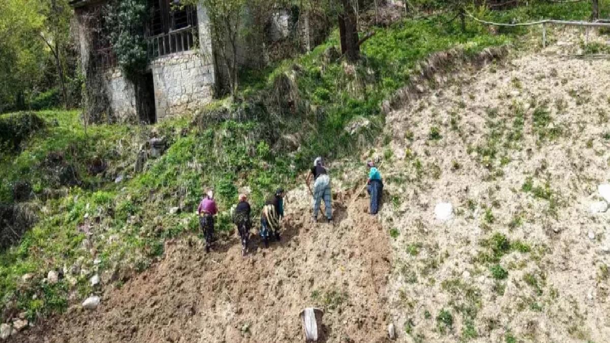 Karadeniz Bayanları Baharla Tarlalarda