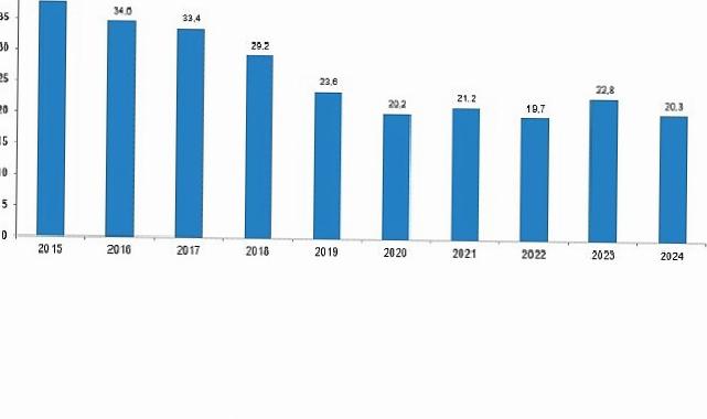 Karayolu Trafik Kaza İstatistikleri, 2024
