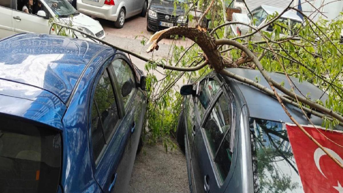 Kayseri’de park halindeki araçların üzerine ağaç kısmı düştü