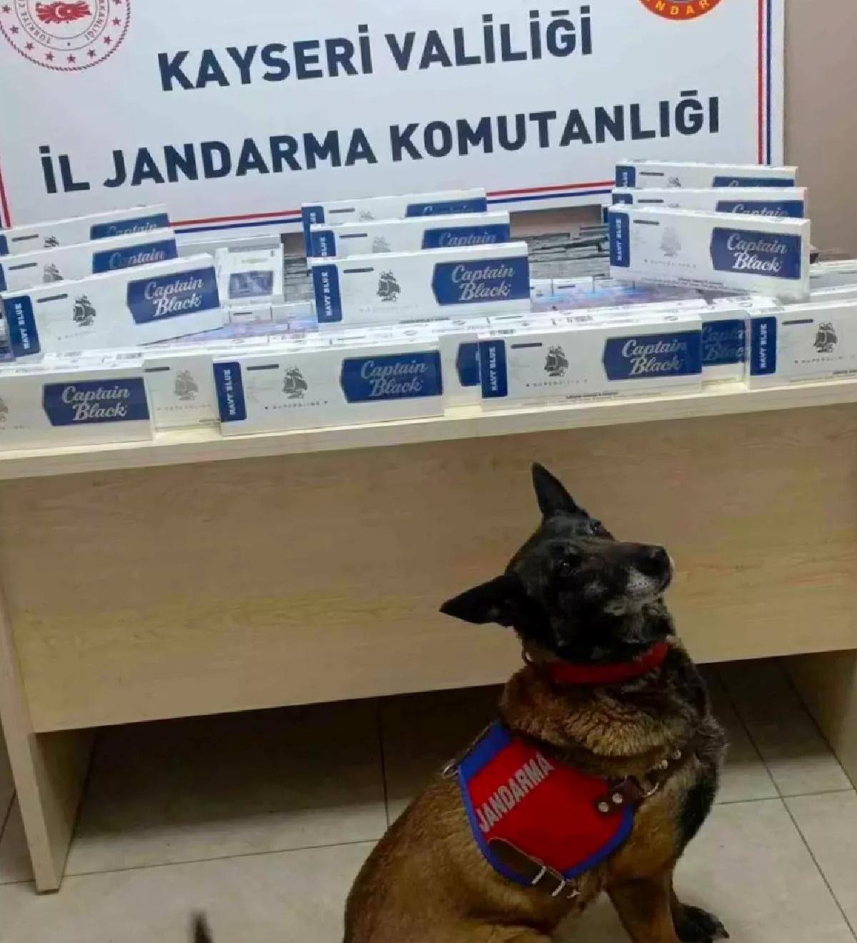 Kayseri’de Tırda Kaçak Sigara Ele Geçirildi