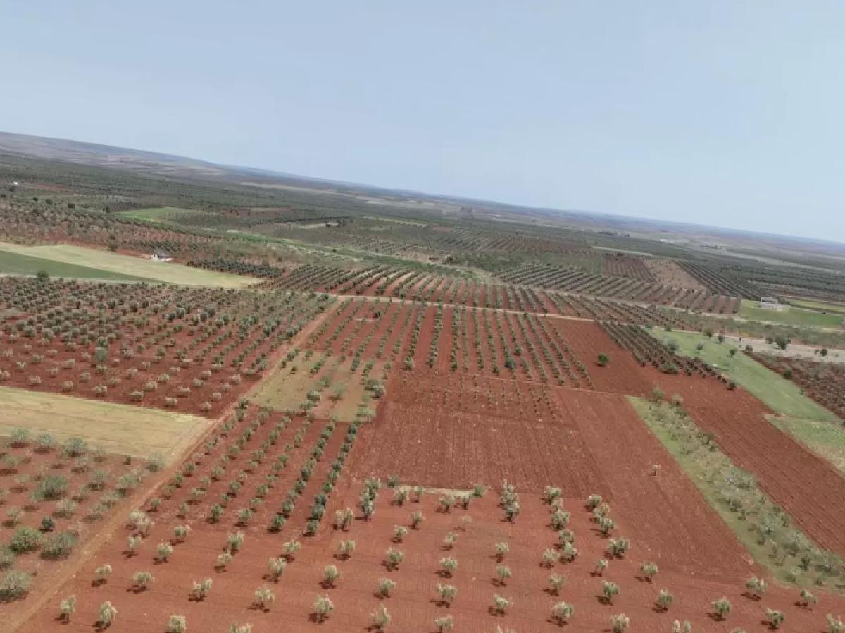 Kilis’te Atık Su ile Tarım Yerleri Sulanacak