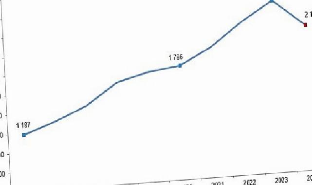 Kırmızı Et Üretim İstatistikleri, 2024