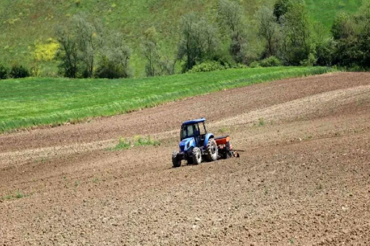 Kocaeli’de Çiftçilere Yüzde 50 Hibeli Mısır Tohumu ve Gübre Dayanağı
