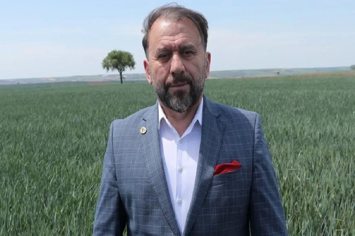 Kuraklık Buğday Rekoltesini Tehdit Ediyor