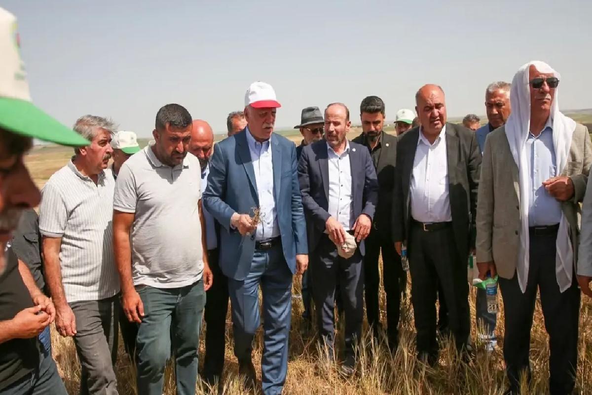 Kuraklık Diyarbakır’da Tarımı Tehdit Ediyor