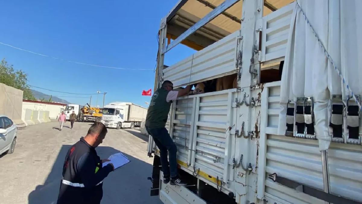 Kurbanlık Hayvan Kontrolleri Artırıldı