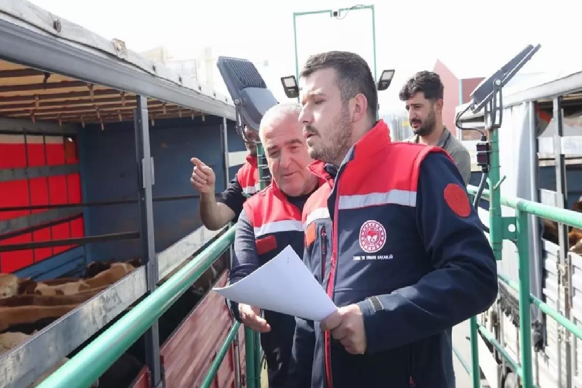 Kurbanlık Hayvan Sevkiyatına Denetim