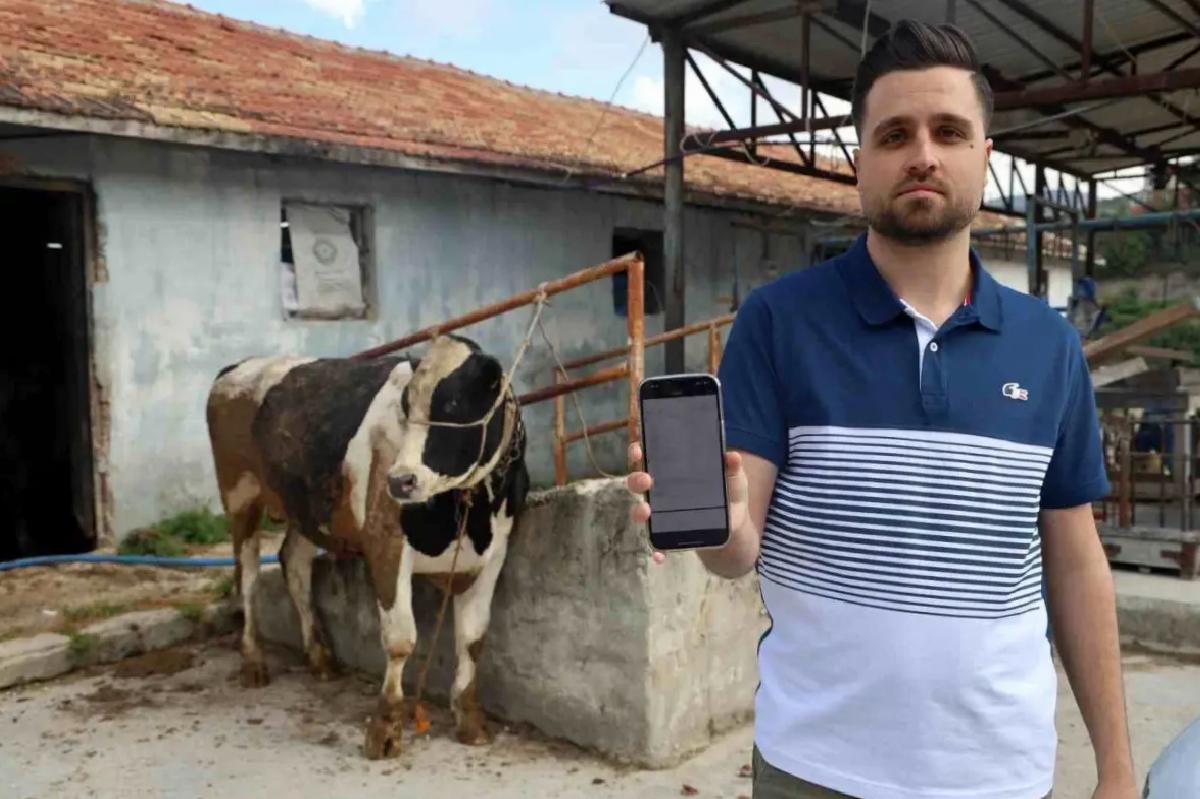 Kurbanlık Tosun Alırken 200 Bin TL Dolandırıldılar