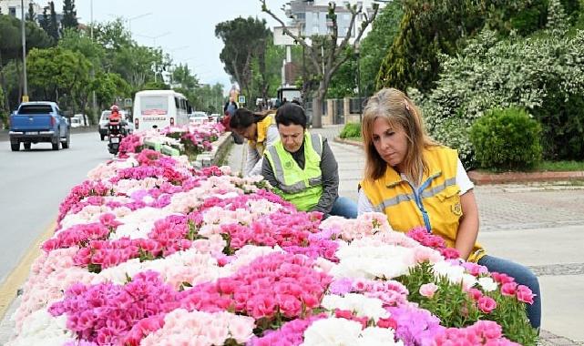 Lider Çerçioğlu Efeler’i Bahar Çiçekleri ile Süsledi