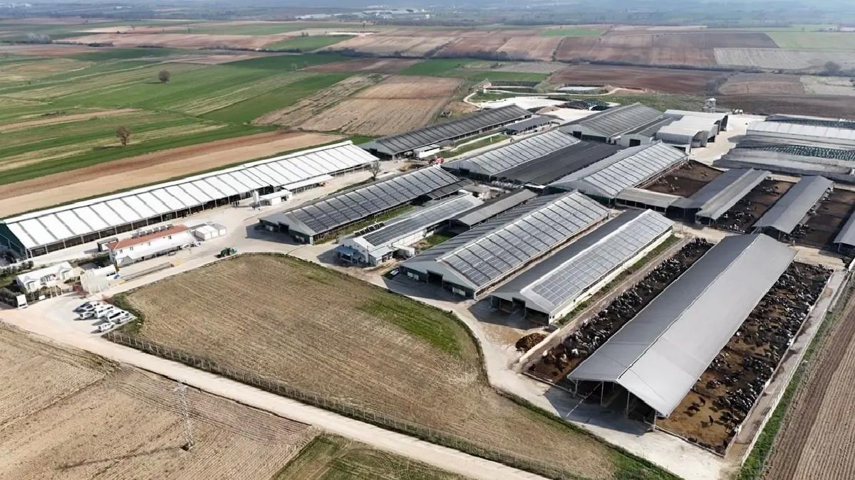 Lüleburgaz’da Süt İşletmesi Güneş Gücüyle Tasarruf Sağlıyor