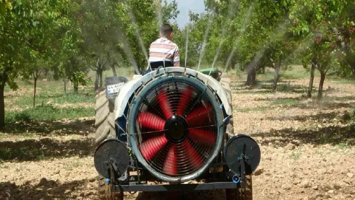 Malatya Kayısı Bahçeleri Yine Yeşeriyor