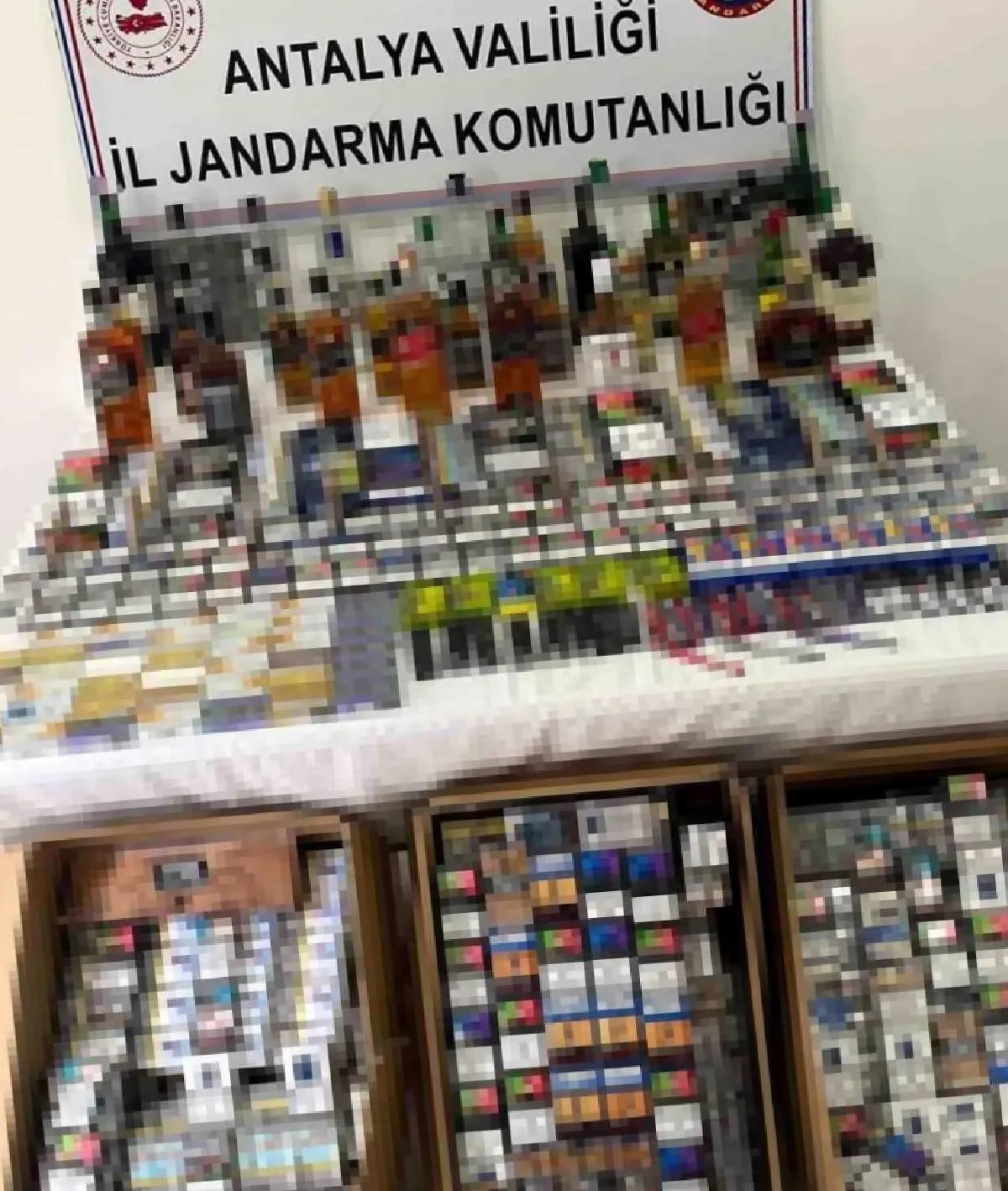 Manavgat’ta Kaçak Eser Operasyonu