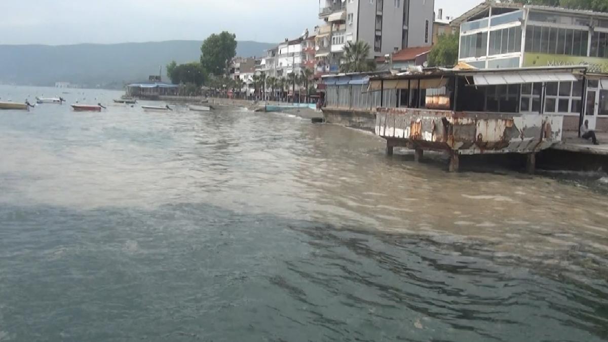 Marmara’nın turistik Gemlik körfezi müsilajla kaplandı