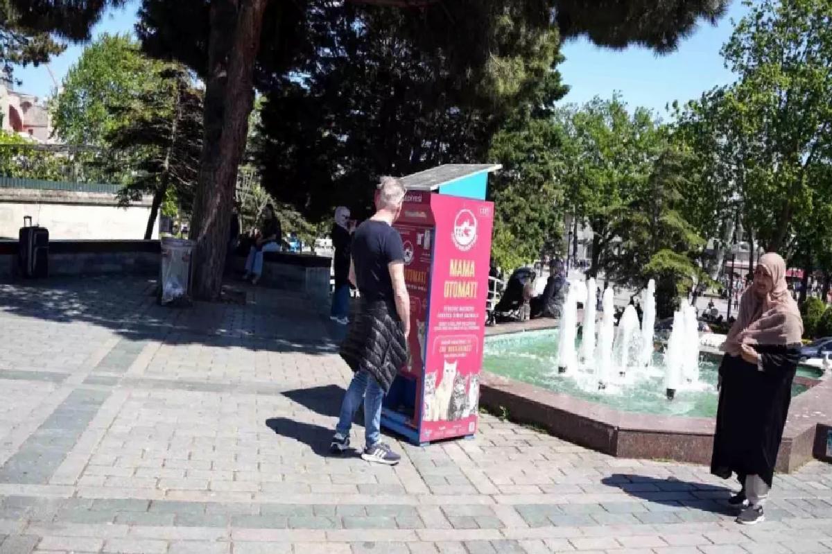 Martıların Kedi Taklidi Toplumsal Medyada Gündem Oldu