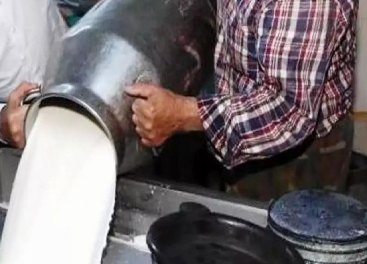Mart’ta Süt Toplama Ölçüsü Artış Gösterdi