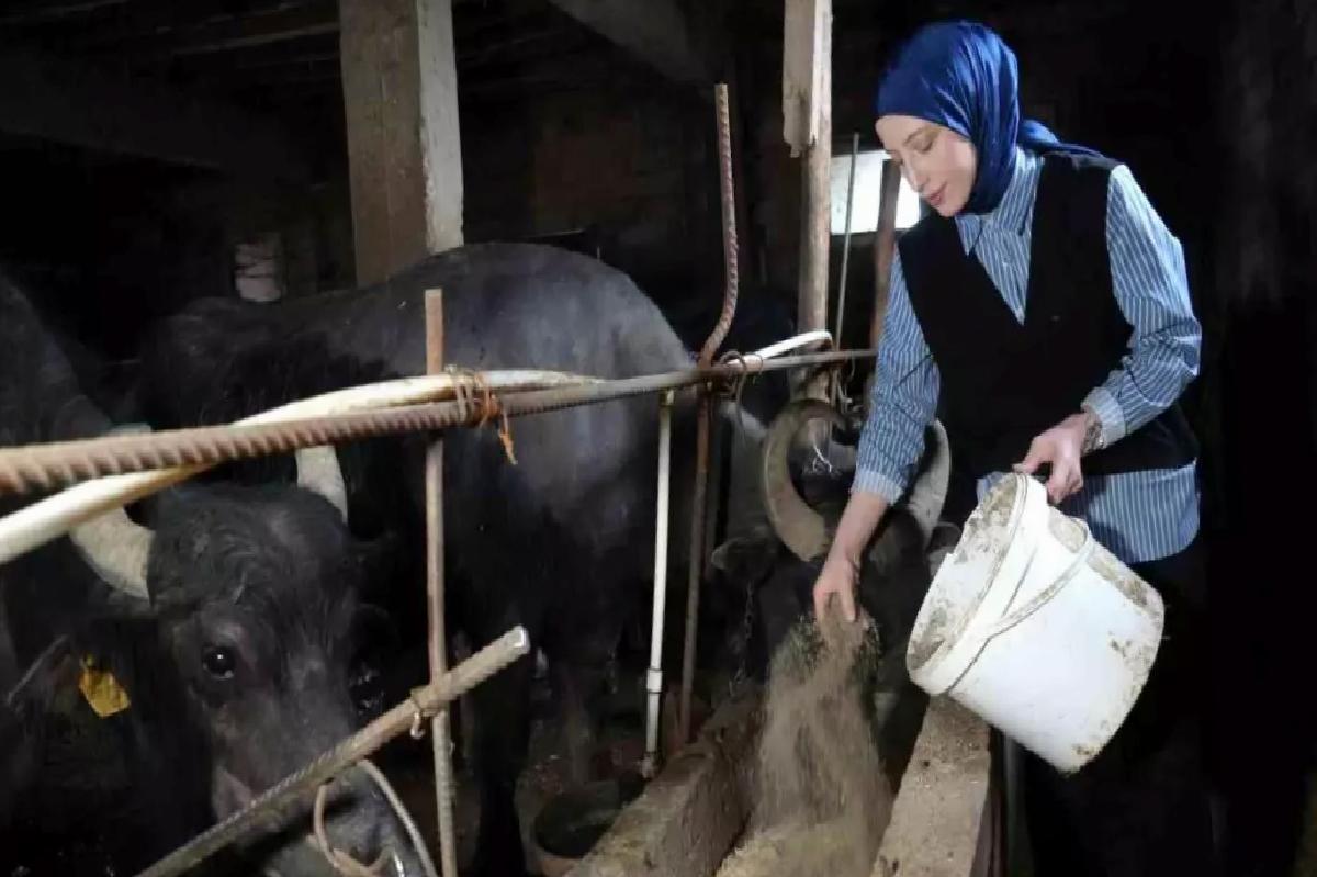 Mart’ta Süt Üretiminde Artış