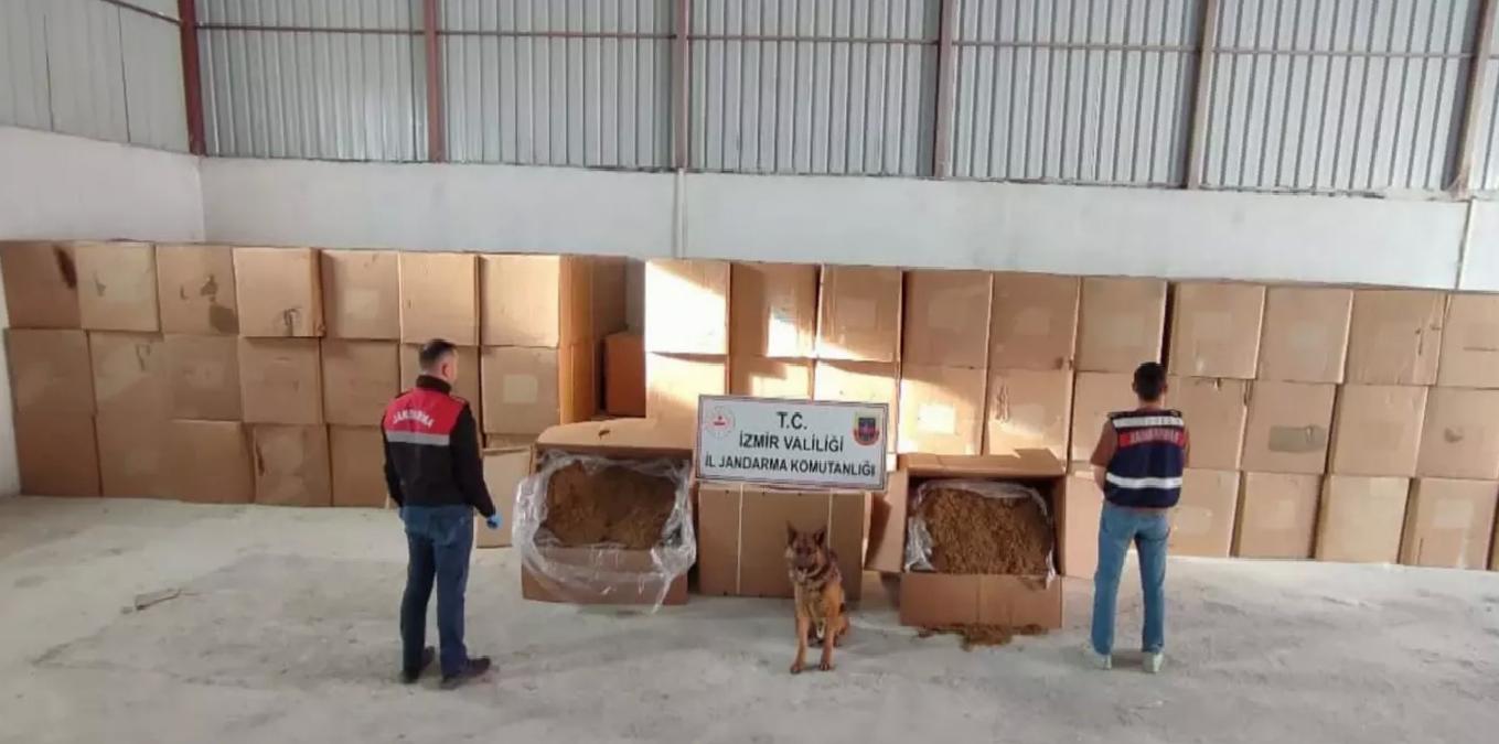 Menderes’te 6 Ton Kaçak Tütün Ele Geçirildi