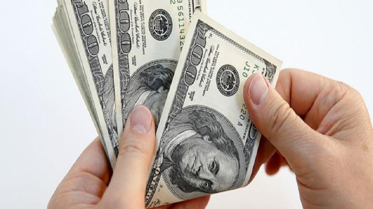 Merkez Bankası rezervleri 138 milyar 532 milyon dolar oldu