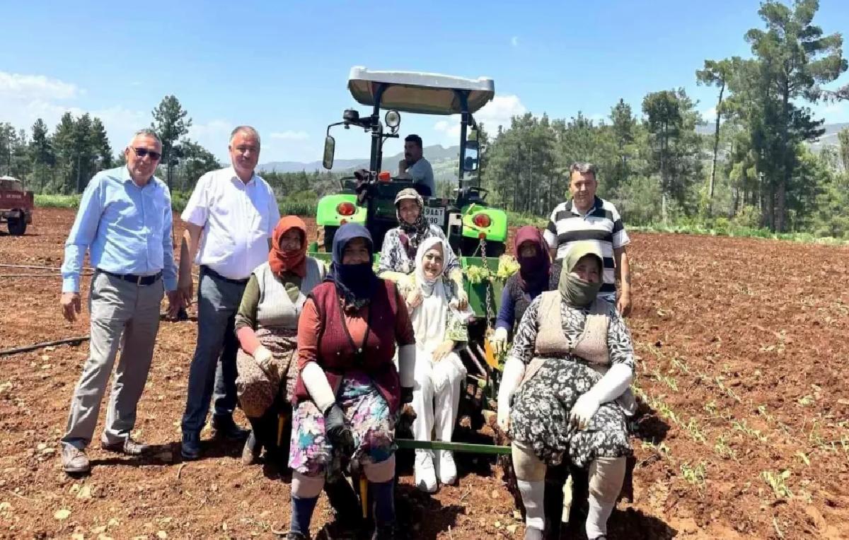 Milletvekili Sema Silkin Ün, Anneler Günü’nü Tütün Tarlasında Kutladı