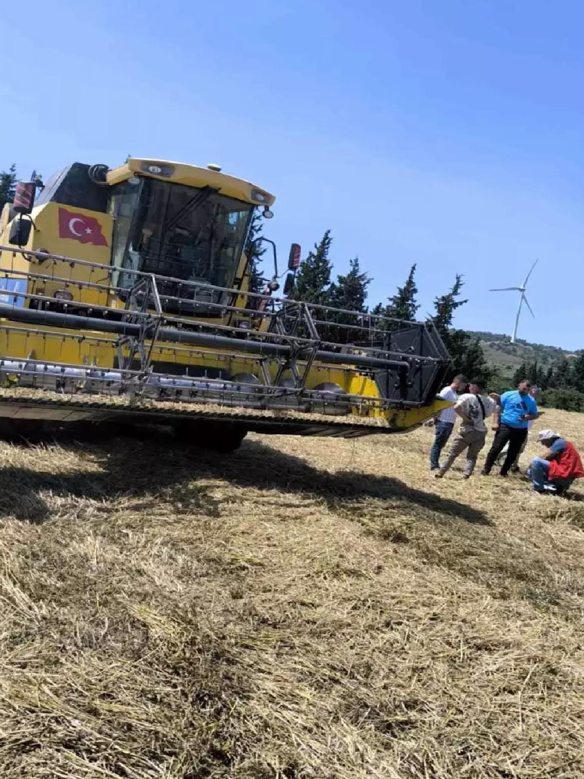 Muğla’da 2025 Hasat Dönemi Başladı