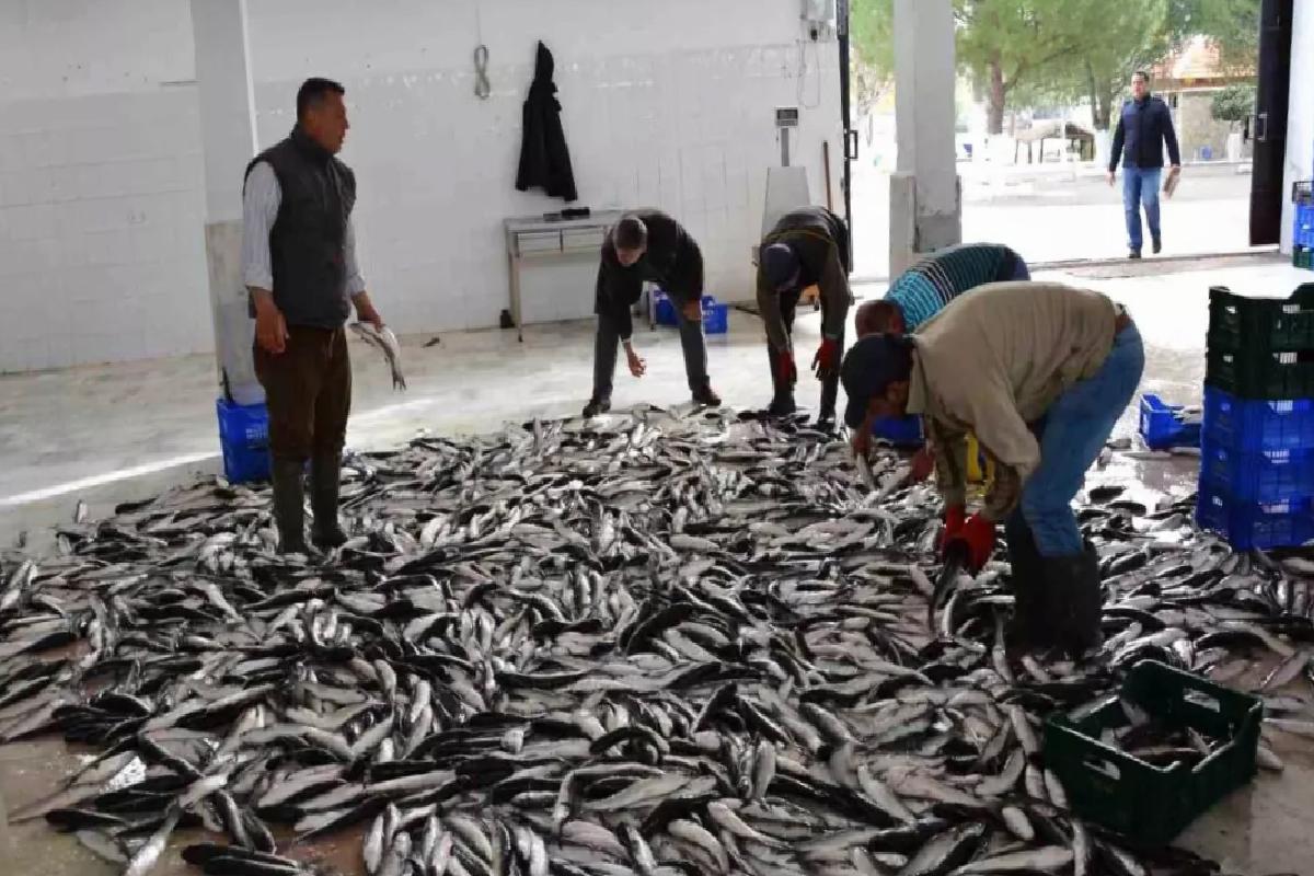 Muğla’nın Nisan İhracatı 95,2 Milyon Dolar