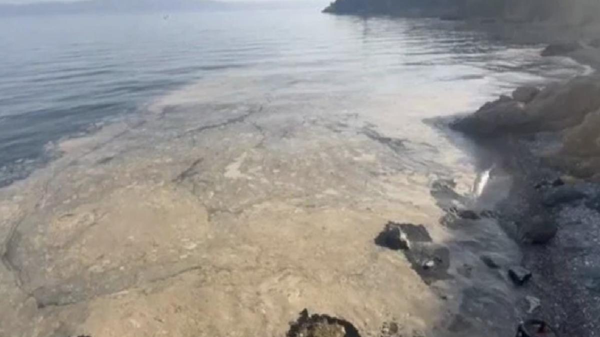 Müsilaj tekrar Gemlik Körfezi’nde