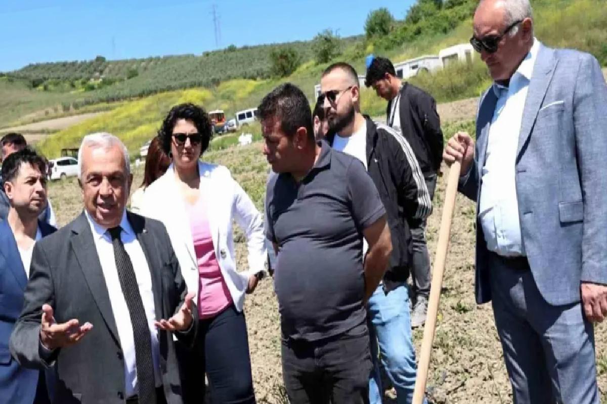 Nilüfer Belediyesi 800 Zeytin Fidanı Dikti