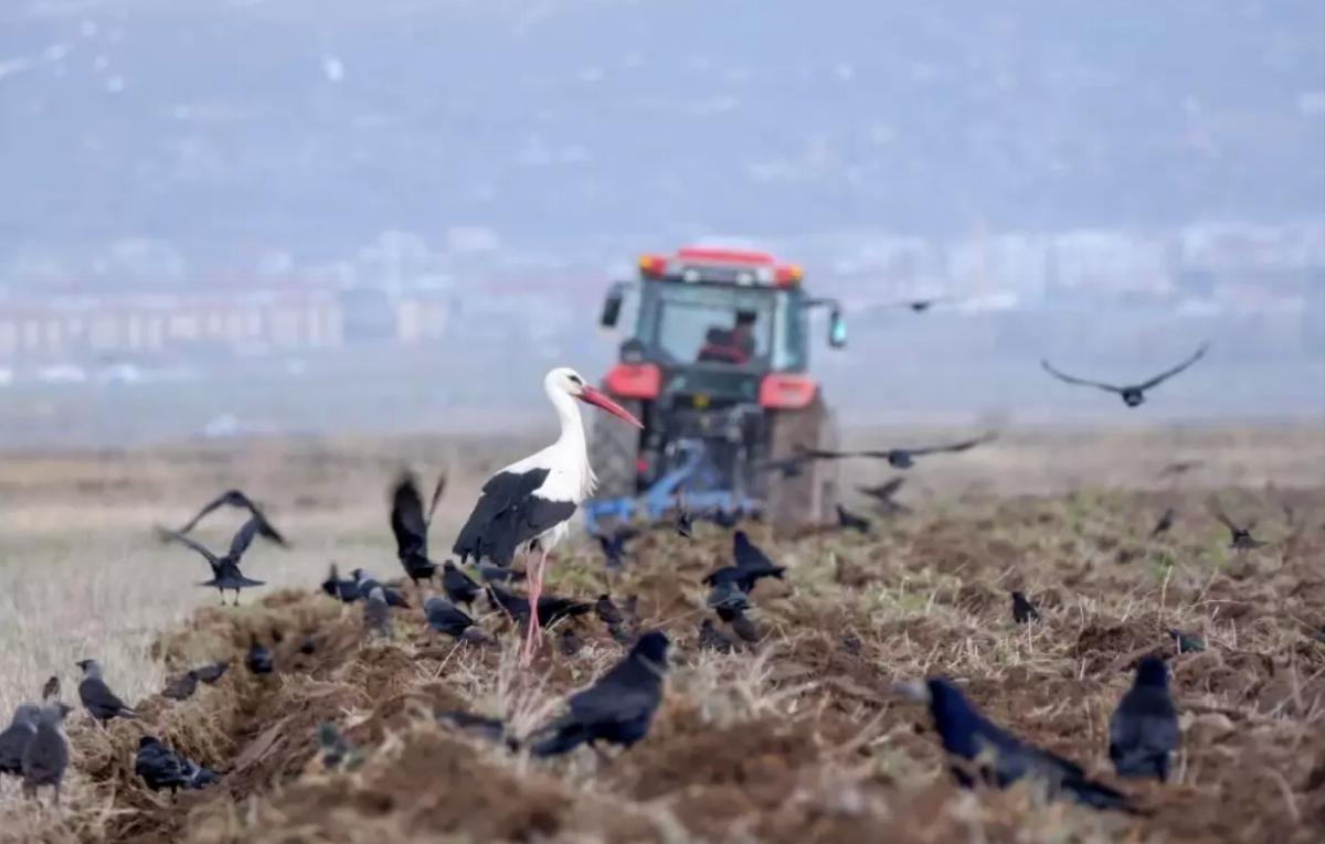 Nisan’da Türkiye’de 191 bin araç kaydedildi