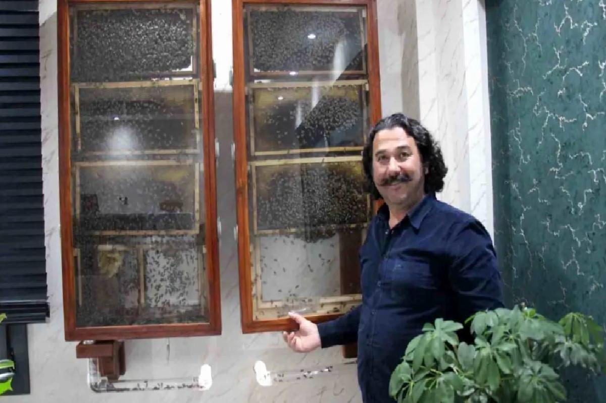 Ofisinde Arı Kovanı Kurdu