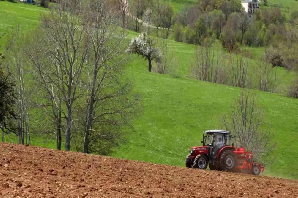 Ordu’da Atıl Yerler Karabuğday ile Tarıma Kazandırılıyor