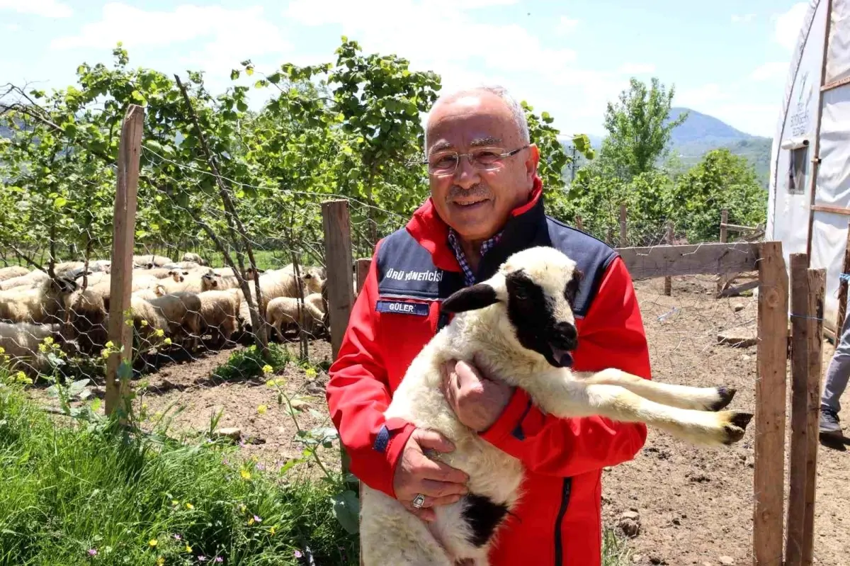 Ordu’da Küçükbaş Hayvancılığı Yaygınlaştırma Eforları
