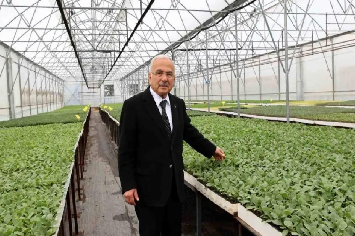 Ordu’da Ziraî Üretim Atılımı: 4 Milyon Fide Dağıtıldı