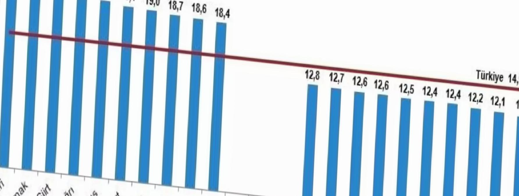 Ordu’nun Genç Nüfus Oranı Düşük