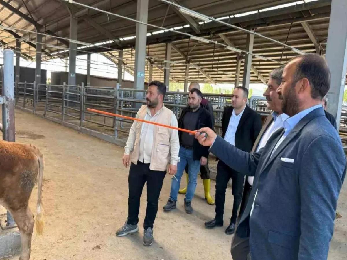 Patnos Belediye Başkanı Kurban Bayramı Hazırlıklarını İnceledi