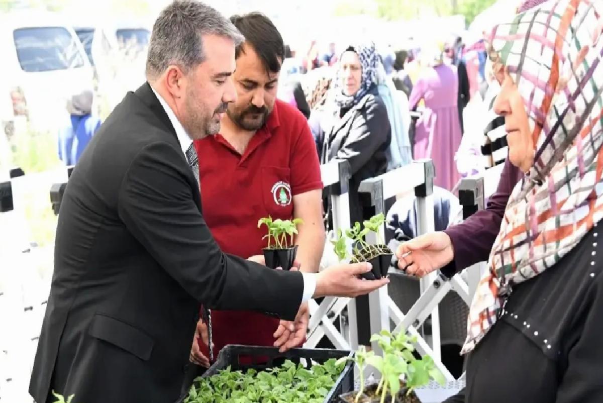 Pursaklar Belediyesi, 4. Klâsik Cet Tohumu Fide Dağıtımını Gerçekleştirdi