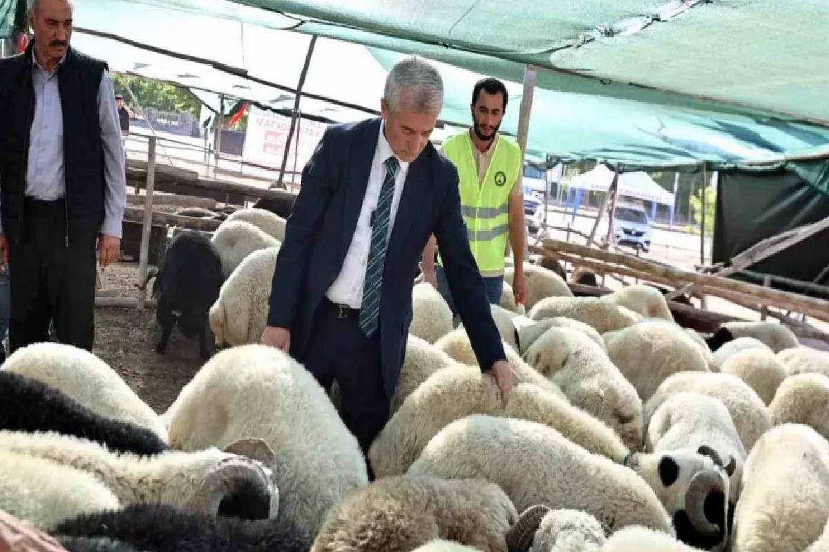 Şahinbey Belediyesi, Kurbanlık Fiyatlarını Düşük Tutacak