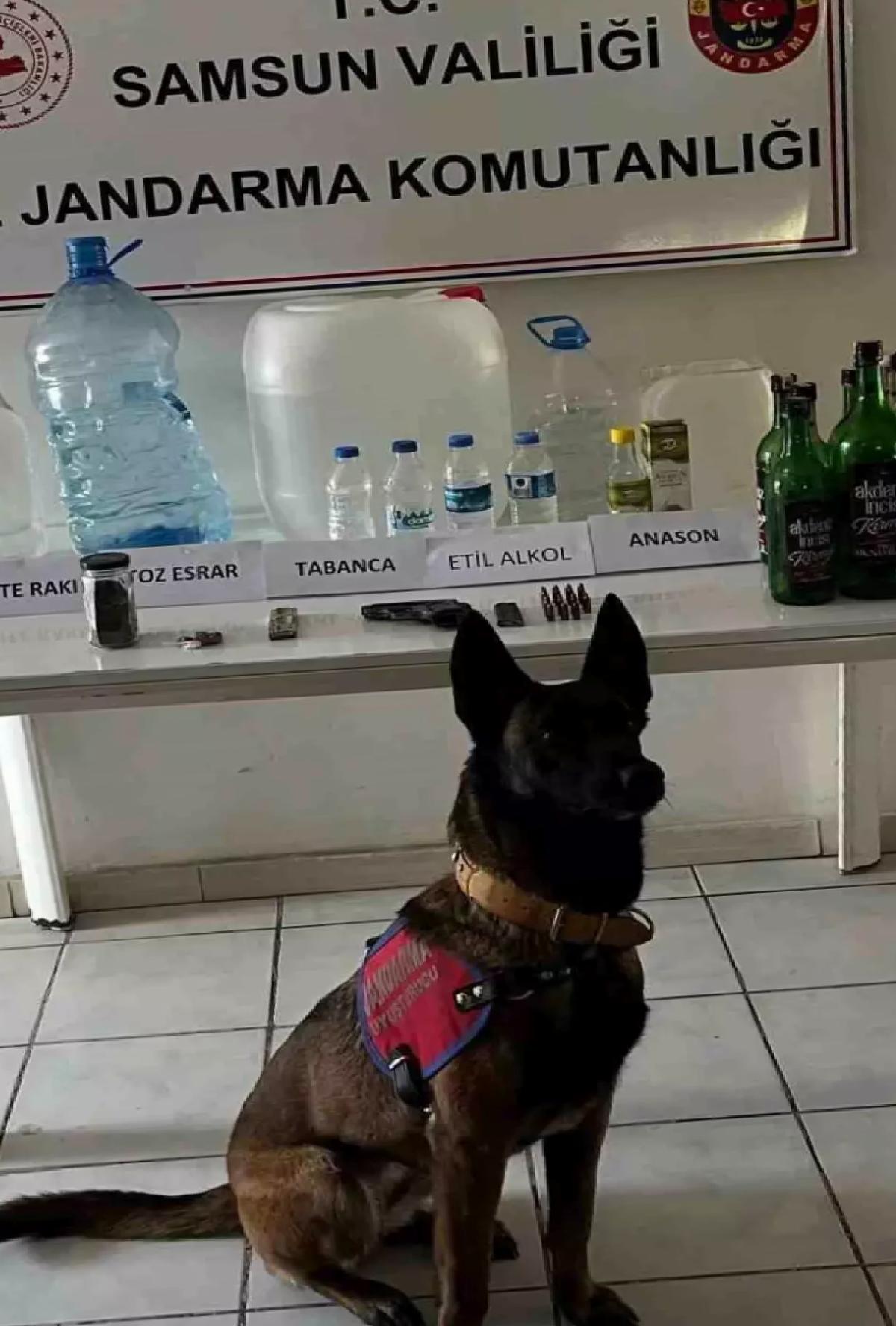 Samsun’da Düzmece Alkol Operasyonu
