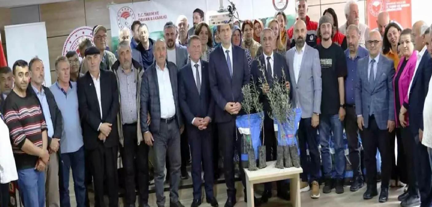 Samsun’da Sorgum Tohumları Dağıtıldı